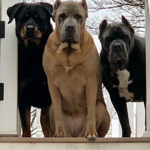 Meet your Posher, Danielle